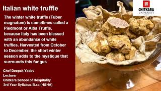 Truffle by Deepak Yadav [upl. by Behnken]