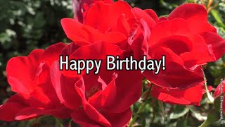 🌹 Alles Gute zum Geburtstag 💖🍀🌞 Happy Birthday 🌹 WhatsApp Grußvideo kostenlos zum Verschicken [upl. by Som399]