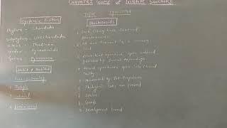 M Sc Zoology Pyrosoma Life cycle [upl. by Brackett]