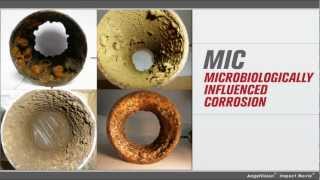 Microbiologically Influenced Corrosion Introduction Module [upl. by Neo792]