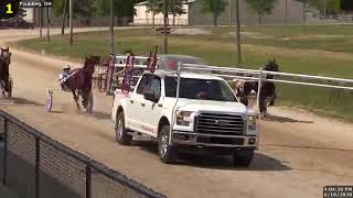 Paulding County Fairgrounds Harness Racing June 16 2020 [upl. by Artemisia]