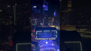 The View From The Singapore Flyer Is INSANE 🤯 [upl. by Dorella]