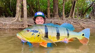 Viaje más de 4000 km para Pescar este TROFEO Tucunare  COLOMBIA 1 [upl. by Roldan810]