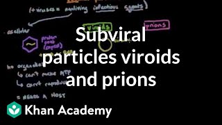 Subviral particles viroids and prions  Cells  MCAT  Khan Academy [upl. by Adair]