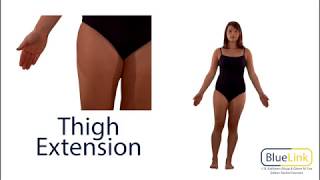 Thigh Flexion Extension Hyperextension [upl. by Hoffmann]