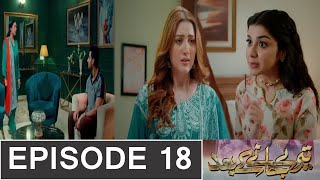 Tere Janay Kay Baad Episode 18  ARY Drama  Review terejanaykaybaad18 [upl. by Natsreik829]