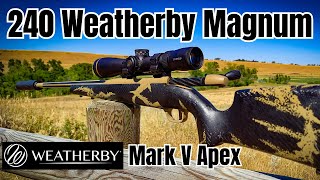 240 Weatherby Magnum to 600 Yards Weatherby Mark V Apex [upl. by Vachill526]