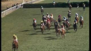 1977 Grand National [upl. by Maryellen]