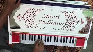 Shruti sadhanas exclusive 11 scale changer with 5 sets of reeds [upl. by Ayekal226]