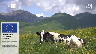 Agrinet il futuro in campo  quotParco della Lessinia il richiamo degli alti pascoliquot [upl. by Tarabar207]