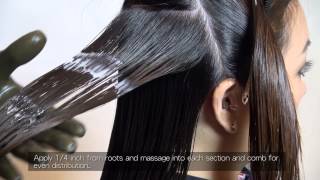 Brazilian Keratin Application Process FULL Version [upl. by Sivrup]