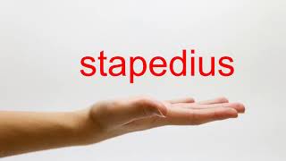 How to Pronounce stapedius  American English [upl. by Bridget]