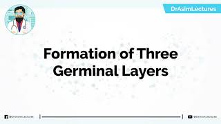 Early Development and Formation of Three Germ Layers  Hindi  Urdu [upl. by Abla757]