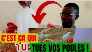 🛑 VOICI LA CAUSE DE LA MORT DE VOS POULES DANS VOTRE ÉLEVAGE [upl. by Wun813]