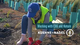 Kuehne  Nagel on volunteering with CVA buildbacknature [upl. by Treblihp473]