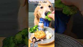 dogie food doglover dogiefood 🤣😂 arabarandhara123 funny shortvideo viral trendingshorts [upl. by Elsi]