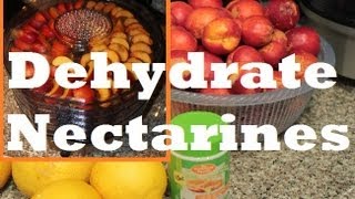 How to make Dehydrated Dried Nectarine Fruit with Waring Pro Food Dehydrator [upl. by Berglund]