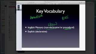 AP Psychology  Memory  Part 3  LongTerm Potentiation LTP [upl. by Eileen]