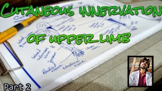 Cutaneous innervation of upper limb 22  how to draw cutaneous innervation of upper limb easily [upl. by Diarmit512]