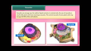 Cell size  Structure of a cell  Biology  Khan Academy [upl. by Gael]