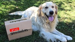 Októberi Goodiebox Unboxing  Mogyi és Ehssty [upl. by Marilla]