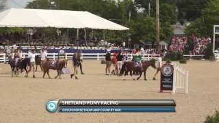 WIHS Shetland Pony Steeplechase at the Devon Horse Show May 26 2014 [upl. by Mccowyn912]