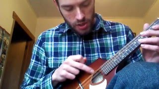 Seagull Mandolin s8 Review [upl. by Douty]