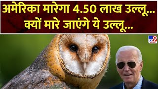 America Owls Killing Plan अमेरिका मारेगा 450 लाख उल्लूक्यों मारे जाएंगे ये उल्लू Biden [upl. by Abdulla692]