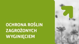 Ochrona roślin zagrożonych wyginięciem [upl. by Kosak]