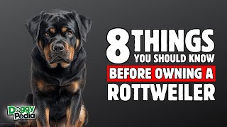 8 Things To Know BEFORE OWNING A Rottweiler [upl. by Nnylarat560]