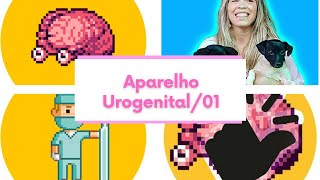 Aparelho Urogenital01 [upl. by Thor327]