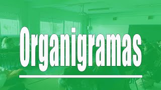 Tipos de organigramas [upl. by Itida]