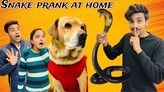 Snake prank at home  Leo Ki Tui me saap ghus Gaya  Anant Rastogi [upl. by Marquita570]