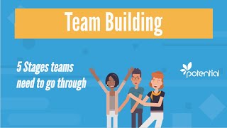 5 Stages of Team Building  What you should know when developing teams or groups [upl. by Mulford]