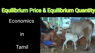 Equilibrium Price and Equilibrium Quantity  சமநிலை விலை amp சமநிலை அளவு [upl. by Garald199]