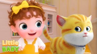 The Cat Song 😻 Meow Meow  Kids Songs amp Nursery Rhymes  Little Baby Songs [upl. by Giesecke]