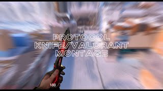 buying protocol knifesmall montage [upl. by Ardnoik675]