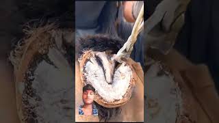 Horse riding horseshoe hoof satisfying horseshoeing Reactor2Scary [upl. by Nosloc]