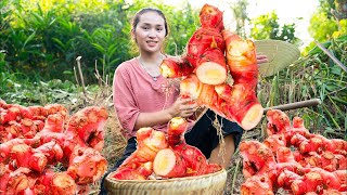 Harvesting GALANGAL ROOTS Harvesting TURMERICGoes To The Market Sell Making garden  Cooking [upl. by Langelo956]