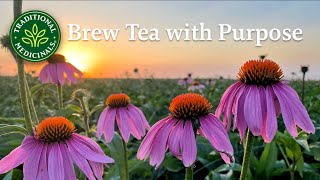 Meet Traditional Medicinals  Brewing Tea with Purpose [upl. by Afesoj]