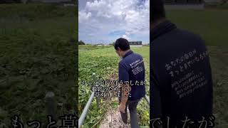 秋まつりカウントダウン 33日 縁JOY 田名オータムフェス縁 相模原 田名 かぼちゃ shorts 焼き芋 [upl. by Alliuqa513]