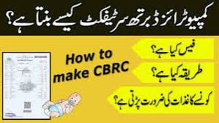 How to Get a Birth Certificate in Pakistan StepByStep [upl. by Wehrle329]