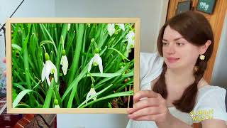 “Snowdrops Tune”  A Participatory Music Video by Siobhan Wilson from FLOWERCORE Vol 1 [upl. by Poland]