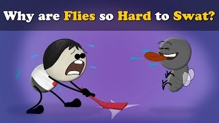 Why are Flies so Hard to Swat  more videos  aumsum kids science education children [upl. by Rebmak]