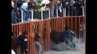 El toro quotRatoneroquot de la ganadería de Miguel Vilar quotLucasquot Vilafamés Toros de Leyenda [upl. by Muire]