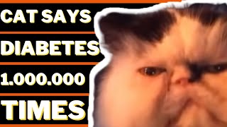 CAT SAYS DIABETES 1000000 TIMES  DIABEETUS VINE ONE MILLION TIMES MEMES [upl. by Onibas]