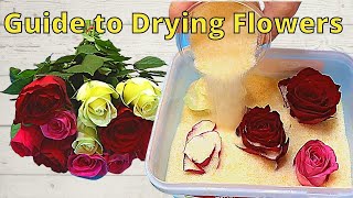 How to Dry Flowers for Putting in Resin Shocking Results [upl. by Annaj]