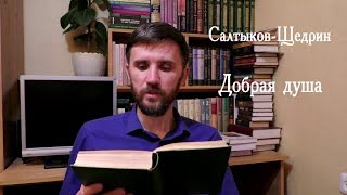 На книжной полке №3 СалтыковЩедрин Добрая душа [upl. by Ysdnyl]