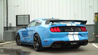 Grabber Blue GT500 Carbon Package [upl. by Yraek]