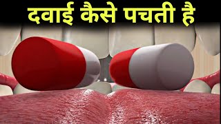 दवाई कैसे पचती हैं  absorption of medicine in hindi [upl. by Lleuqar]